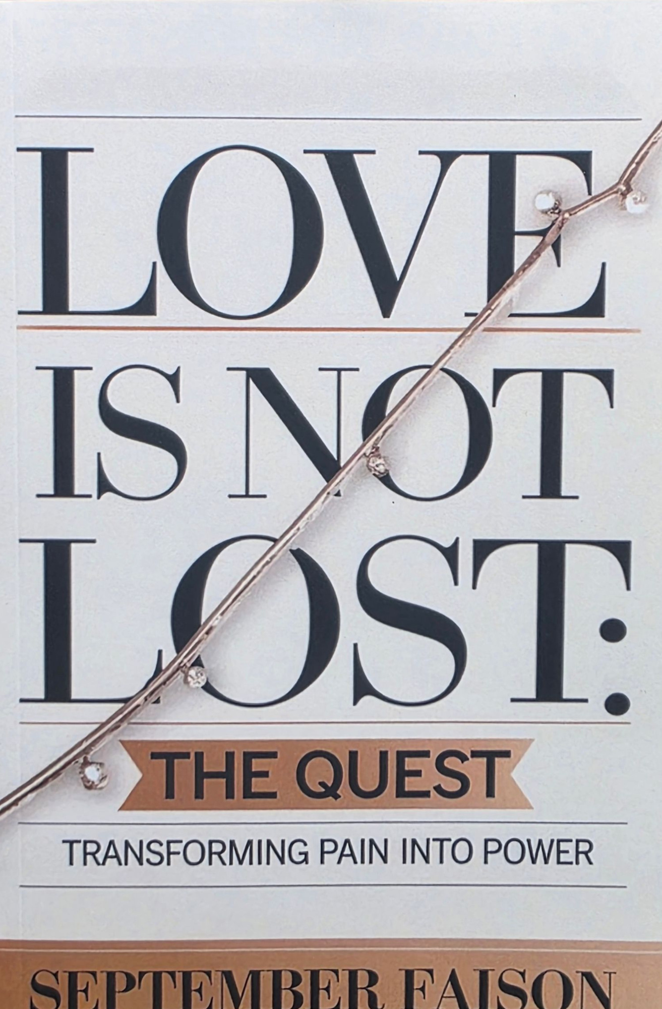 Love Is Not Lost: The Quest front cover