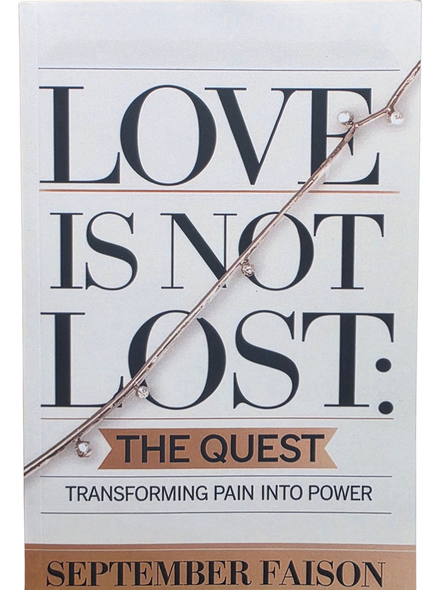 Love is Not Lost vol 2: The Quest - Transforming Pain into Power